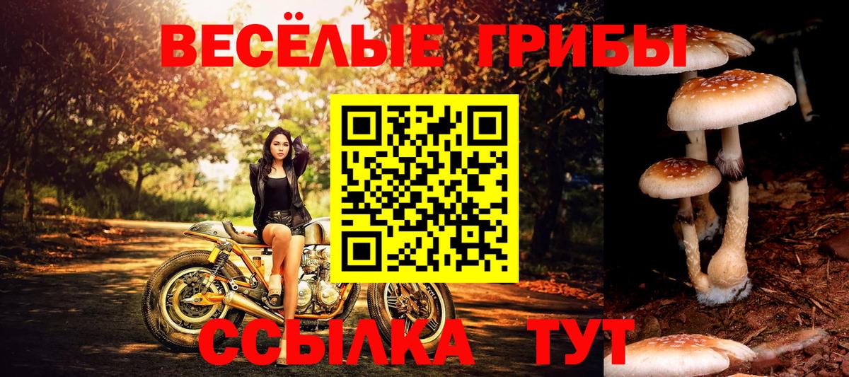Псилоцибиновые грибы MAGIC MUSHROOMS Котельники