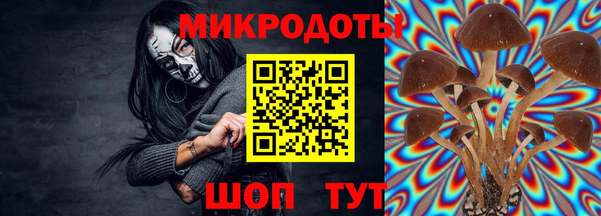 Галлюциногенные грибы GOLDEN TEACHER  Вход с VPN  Котельники 